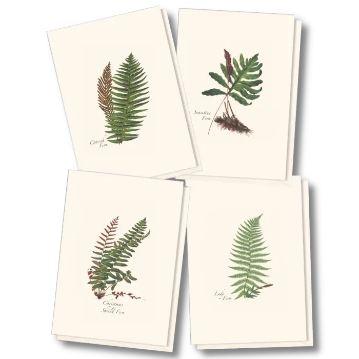 Greenery-Themed Boxed Notecards – Customizable Design 1