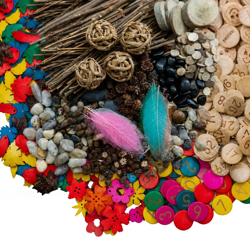 Natural Discovery Center | Hands-On Exploration Hub For Outdoor And Science-Based Learning 1