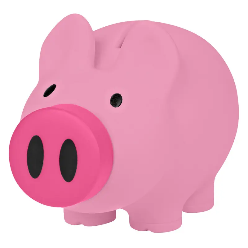 Payday Fun-Faced Money Box For Kids & Adults 1