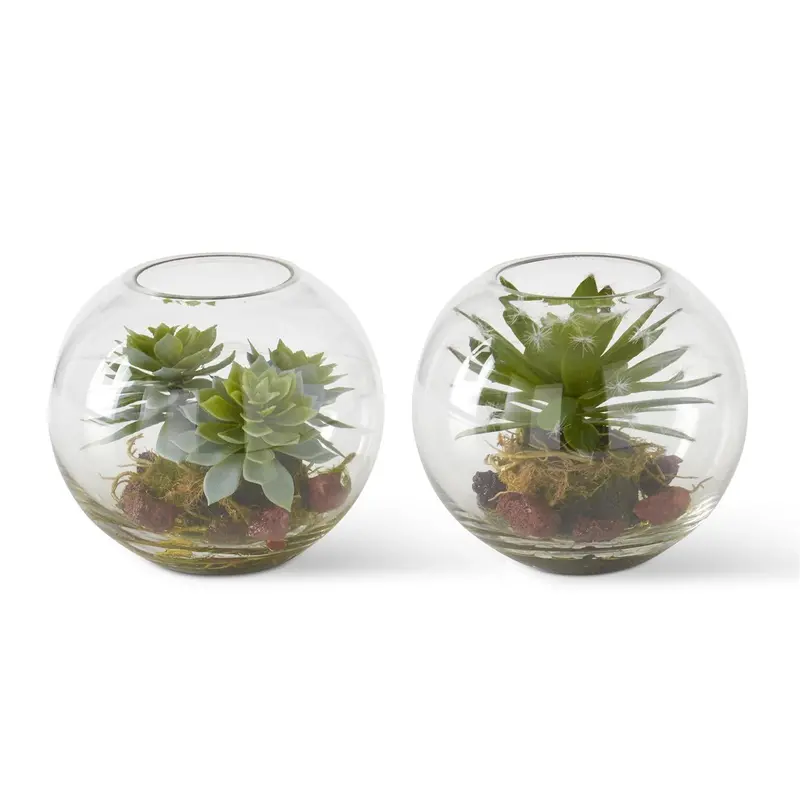 Round Glass Succulent Terrarium – Mini Indoor Garden 1